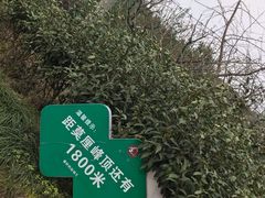 -雨花胜境
