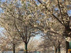 -幕燕滨江·长江观音景区