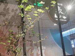-飛鳥製茶