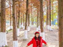 -白鹭湾湿地公园