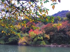 -白马涧龙池景区