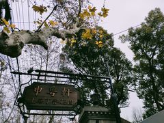 -申粤轩酒楼·三十年粤菜经典(丁香花园店)