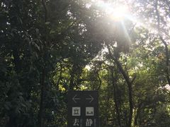 -云溪植物园