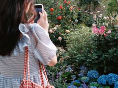 -人民公园(罗湖区)