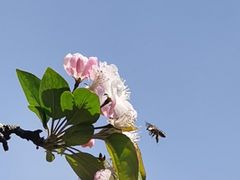 -莫愁湖公园