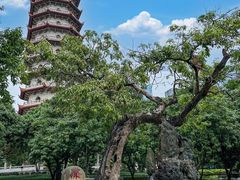 -西禅古寺售票处