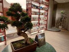 -二酉书店TOYOU BOOKS