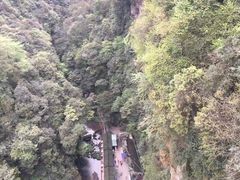 -中国大熊猫保护研究中心雅安碧峰峡基地