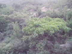 android_upload_pic-封龙山风景区