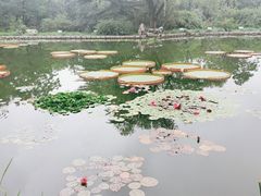 -国家植物园南园
