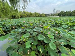 -长春市南湖公园