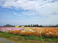 -径山花海