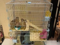 -猫色咖啡·猫咖
