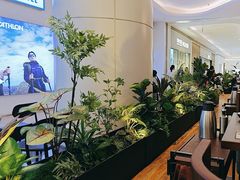 -同仁四季椰子鸡(宝安壹方城店)
