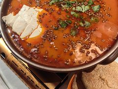 -杨氏青龙虾·羊蝎子(托乐嘉店)