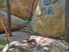-崂山巨峰游览区