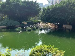-九龙公园