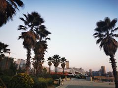 -金沙湖公园