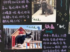 -小时光咖啡馆(开森度假森林店)