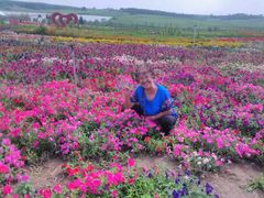 -北纬44度·金珠花海休闲农业旅游景区