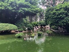 -九龙公园