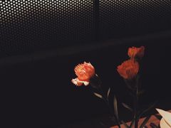 -艾米意大利餐厅(米房创意园店)