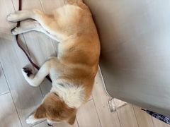 -YCHL Studios健身工作室(市二宫店)