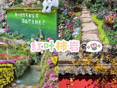 -淄博花灯齐彩城