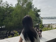 -宝安西湾红树林湿地公园