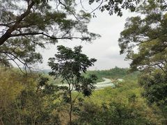-深圳仙湖植物园