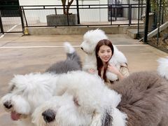 -TrueLove @ Neverland (Husky Cafe)
