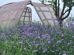 -光明刘冰乳鸽店(光明法政北路店)