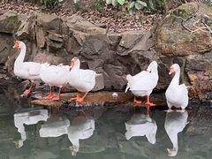-兰亭风景区