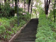 -翠屏公园