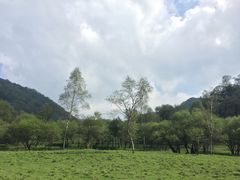 景点-大水川景区