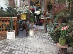 RGF-RGF(巨鹿路店)