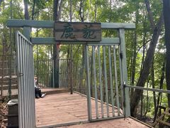 -帽儿山风景区