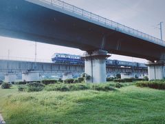 -长白岛森林公园