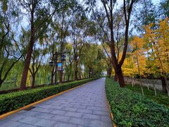 -西安汉城湖景区