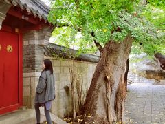 -青岛崂山太清宫