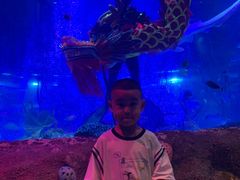 -沈阳海洋探索中心