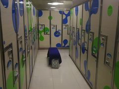 -南宫温泉水世界