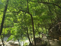-郧西五龙河风景区