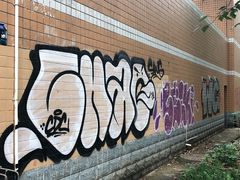 -四川大学(望江校区)