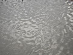 -惠州西湖丰渚园