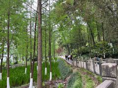 -重庆彩云湖湿地公园