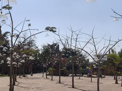 -一寨两国风景区