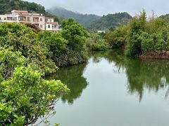 -金林水乡
