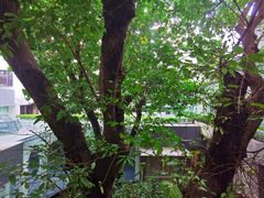 -白云宾馆·白云宴餐厅