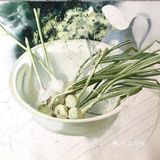 🌵一组超写实的水彩静物绘画步骤！